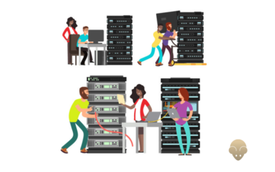 Network Engineers
